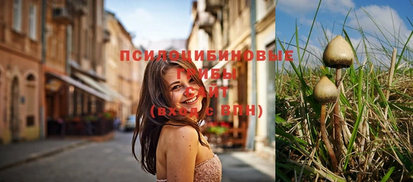 мяу мяу мука Баксан