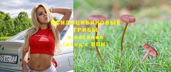 мяу мяу мука Баксан